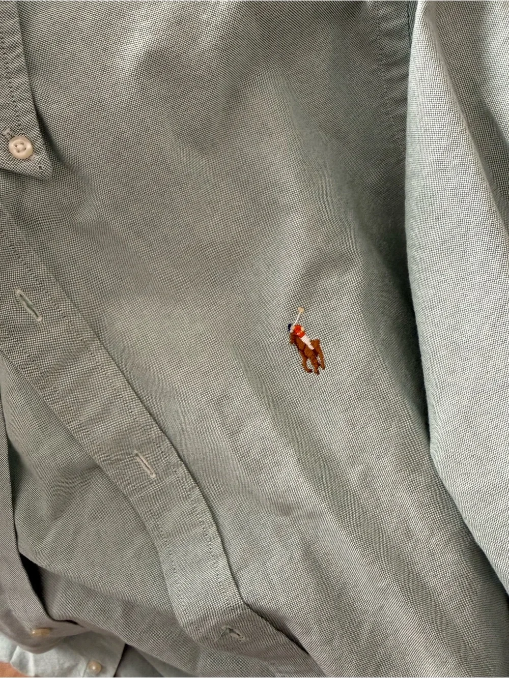 Polo by Ralph Lauren Sage Green Long-Sleeve Button-Down Shirt